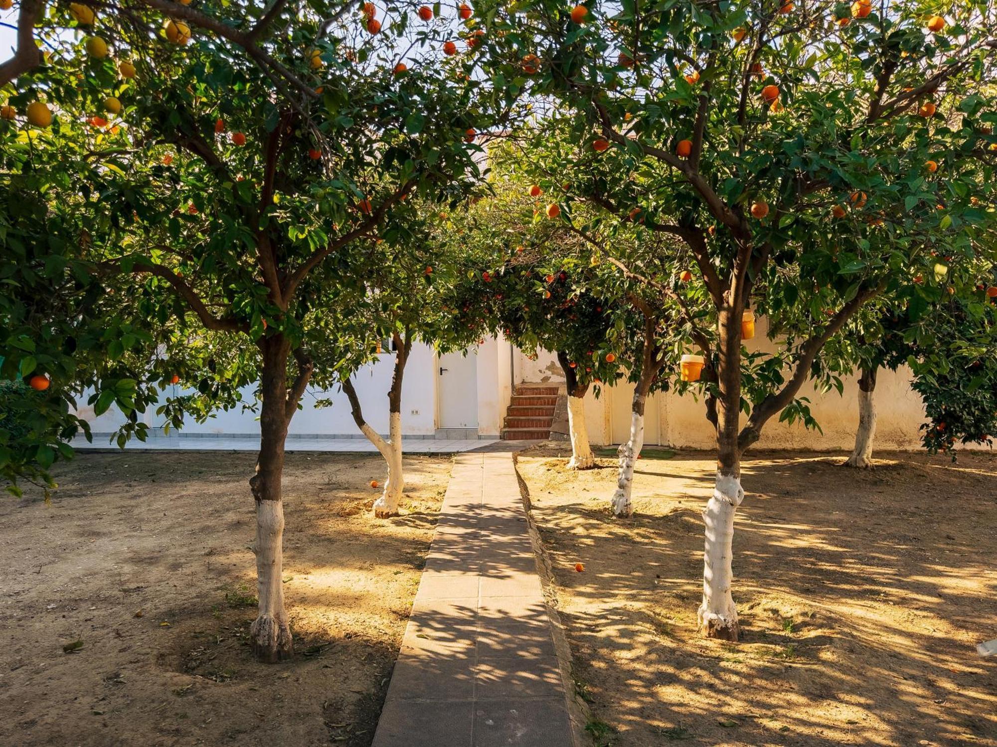 Charming Country House Torremolinos Exteriér fotografie