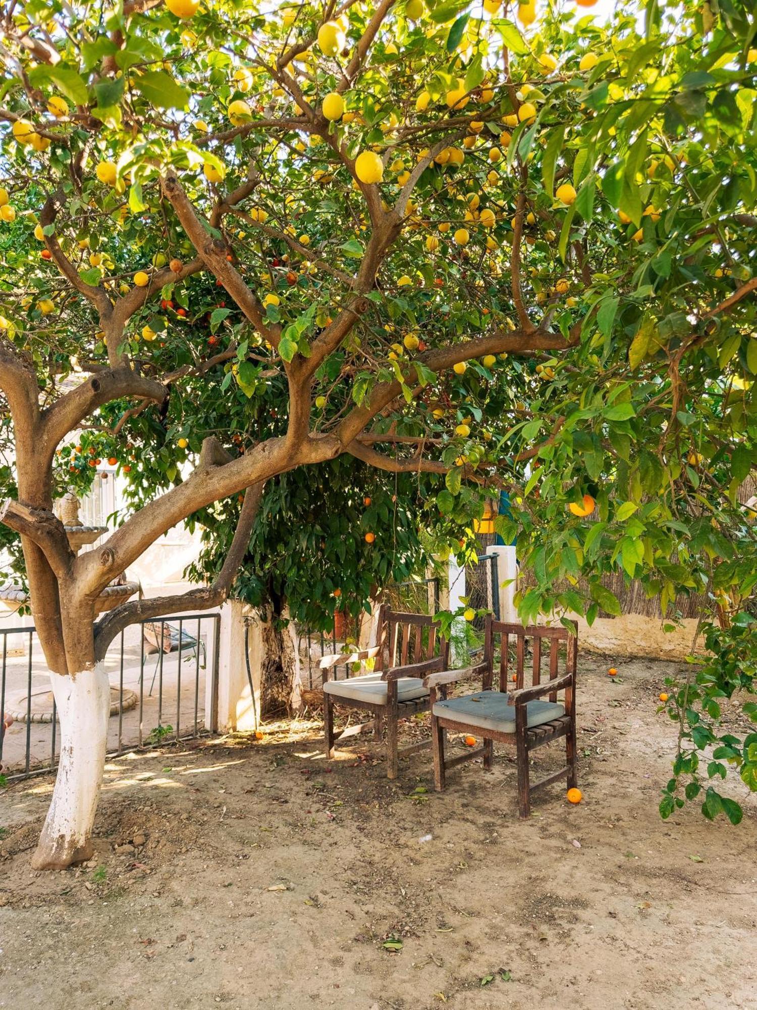 Charming Country House Torremolinos Exteriér fotografie